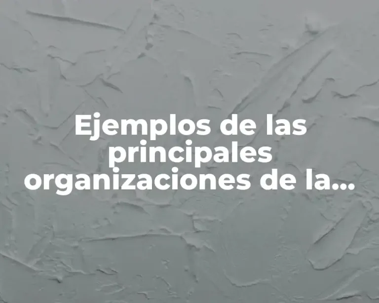 Ejemplos de las principales organizaciones de la sociedad civiles