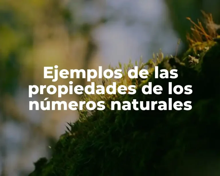 Ejemplos de las propiedades de los números naturales