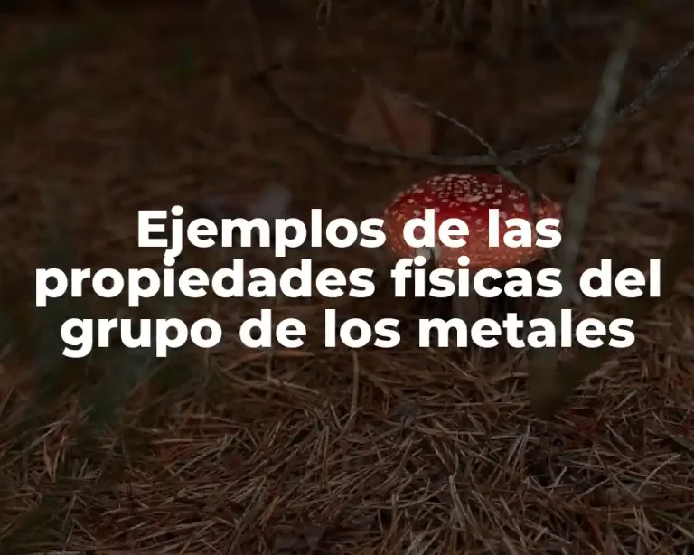 Ejemplos de las propiedades fisicas del grupo de los metales