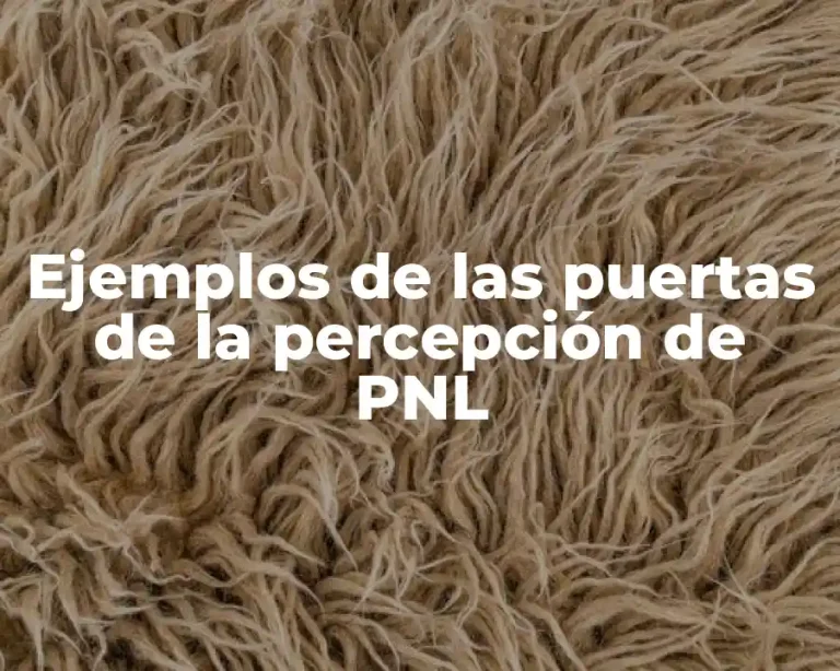 Ejemplos de las puertas de la percepción de PNL