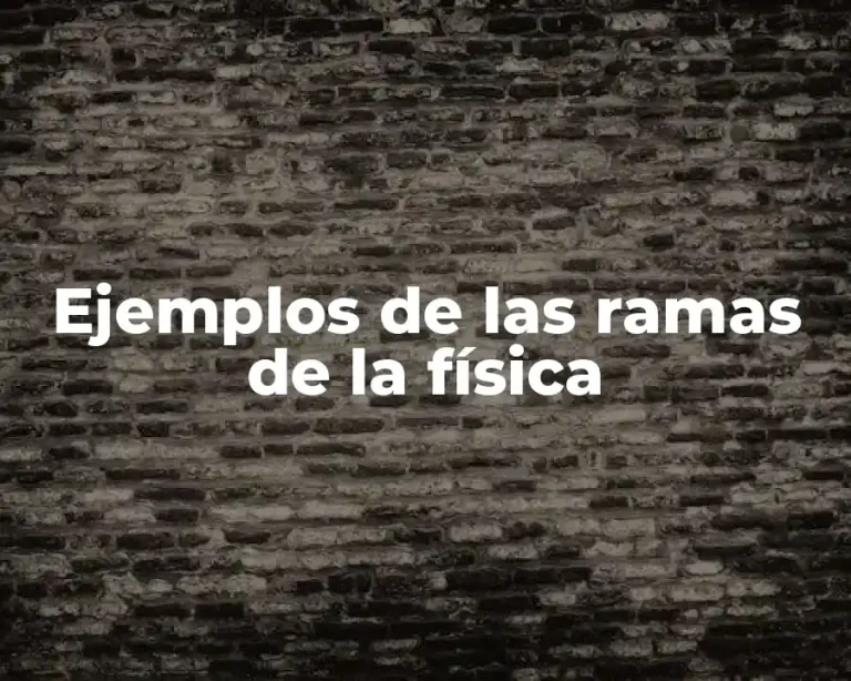Ejemplos de las ramas de la física