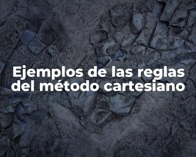 Ejemplos de las reglas del método cartesiano