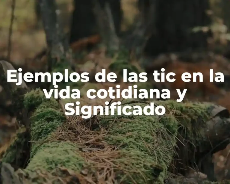 Ejemplos de las tic en la vida cotidiana y Significado