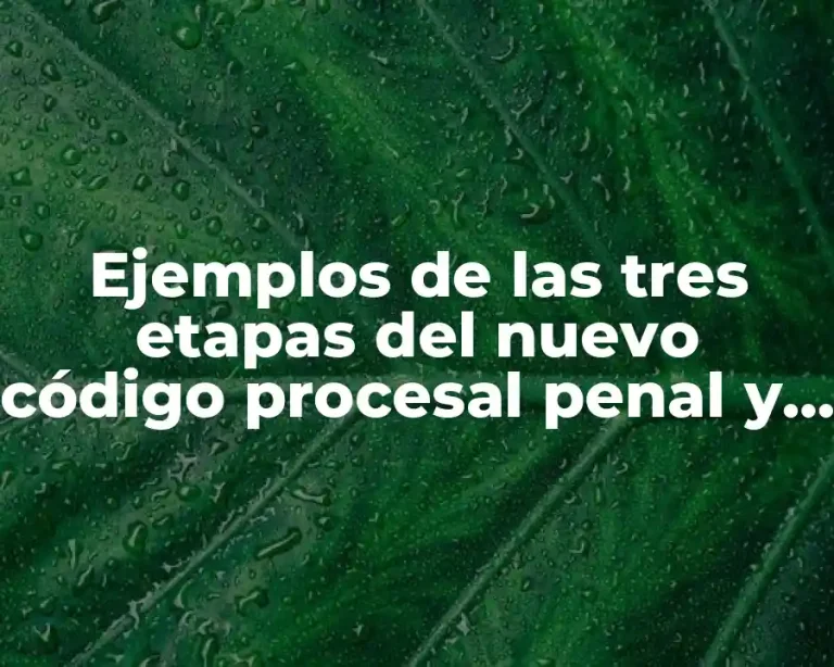 Ejemplos de las tres etapas del nuevo código procesal penal y Significado