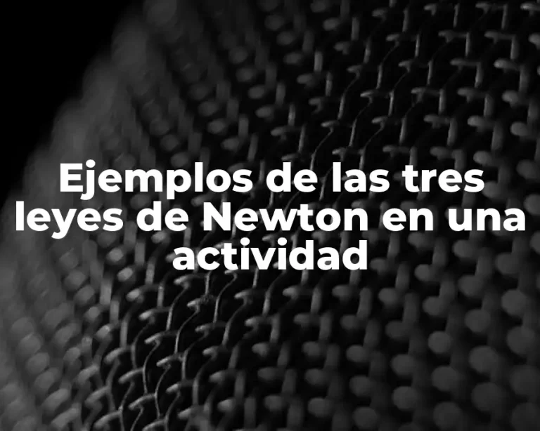 Ejemplos de las tres leyes de Newton en una actividad