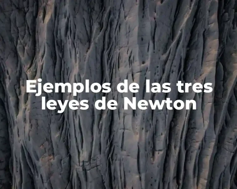 Ejemplos de las tres leyes de Newton