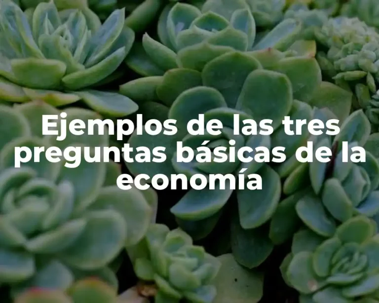 Ejemplos de las tres preguntas básicas de la economía