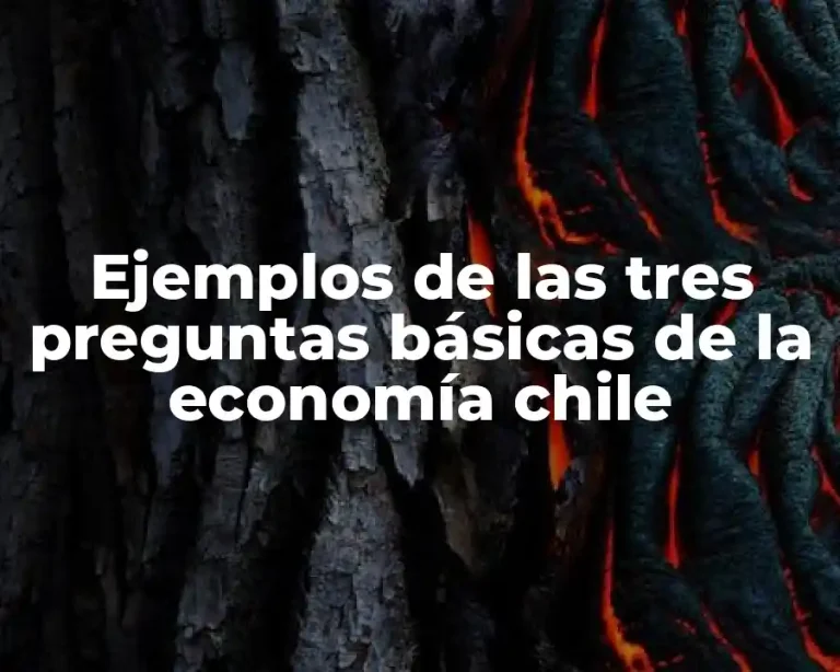Ejemplos de las tres preguntas básicas de la economía chile
