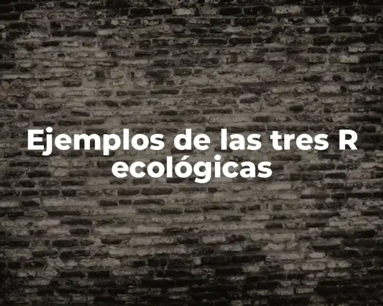 Ejemplos de las tres R ecológicas