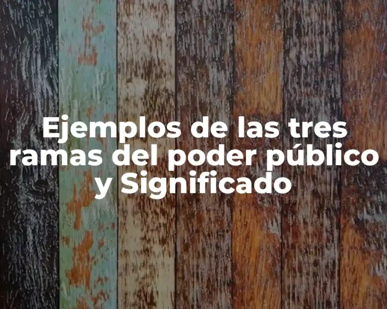 Ejemplos de las tres ramas del poder público y Significado