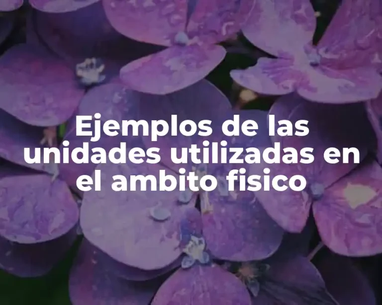 Ejemplos de las unidades utilizadas en el ambito fisico