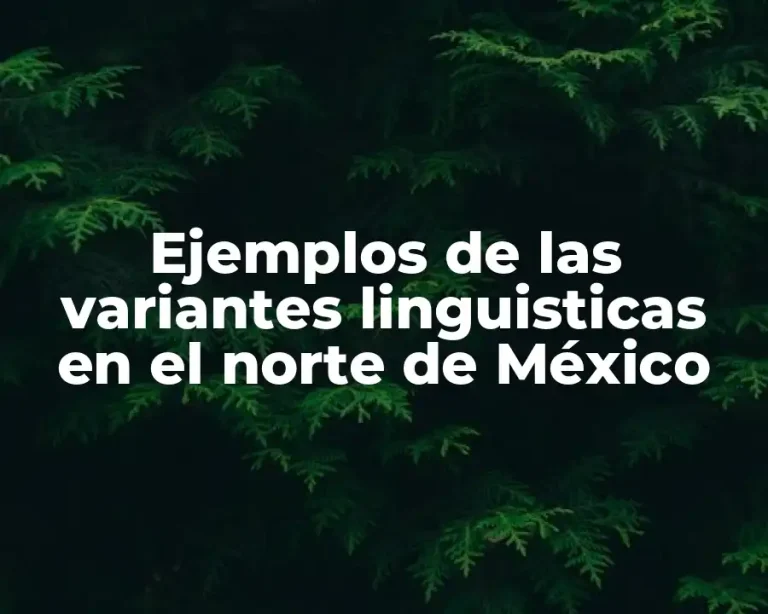 Ejemplos de las variantes linguisticas en el norte de México