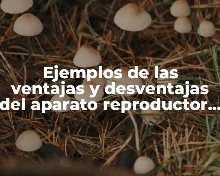 Ejemplos de las ventajas y desventajas del aparato reproductor femenino y Significado