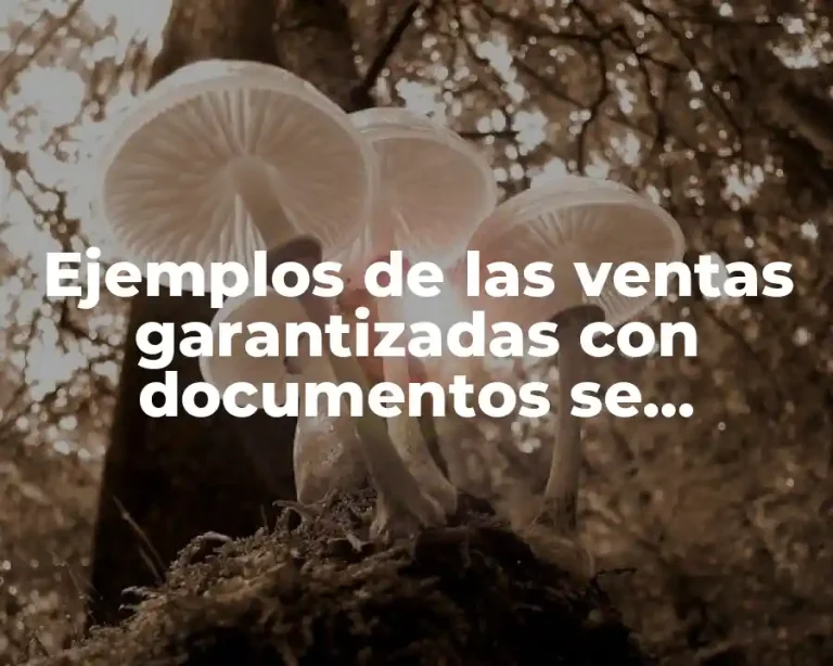 Ejemplos de las ventas garantizadas con documentos se cancelaron