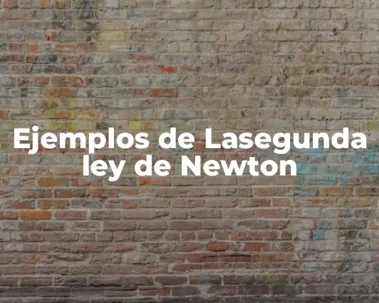 Ejemplos de Lasegunda ley de Newton