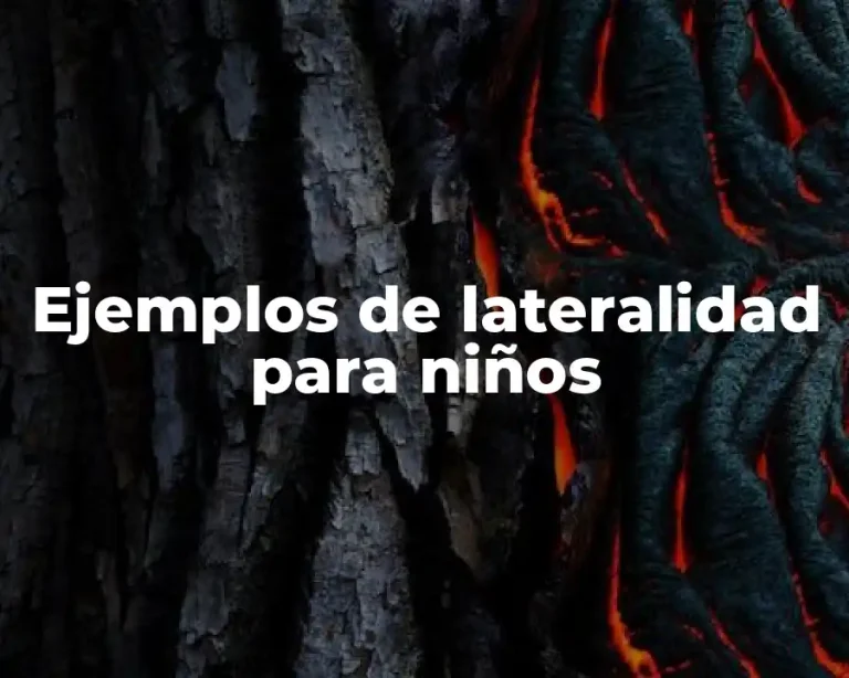 Ejemplos de lateralidad para niños