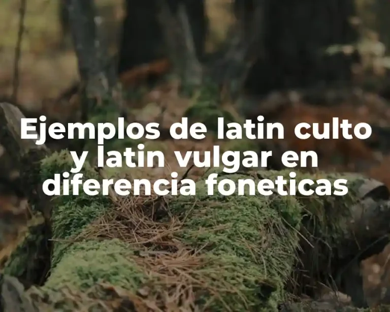 Ejemplos de latin culto y latin vulgar en diferencia foneticas