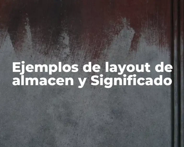 Ejemplos de layout de almacen y Significado
