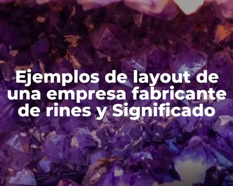 Ejemplos de layout de una empresa fabricante de rines y Significado