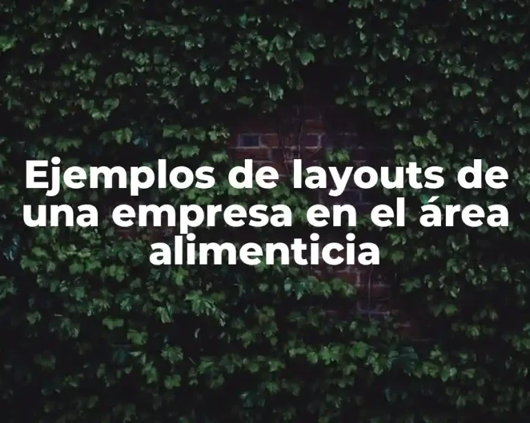 Ejemplos de layouts de una empresa en el área alimenticia