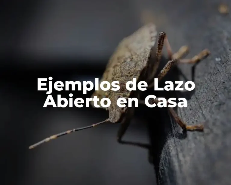 Ejemplos de Lazo Abierto en Casa