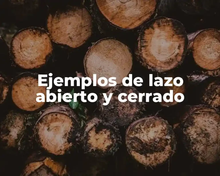 Ejemplos de lazo abierto y cerrado