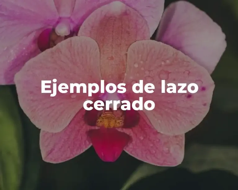 Ejemplos de lazo cerrado