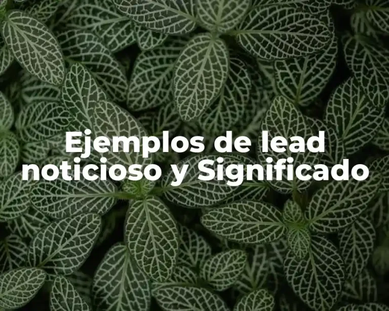 Ejemplos de lead noticioso y Significado
