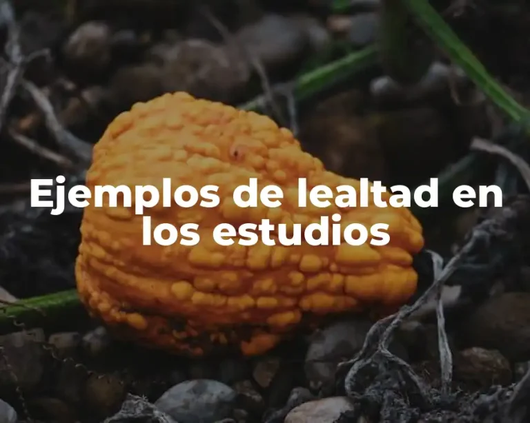 Ejemplos de lealtad en los estudios
