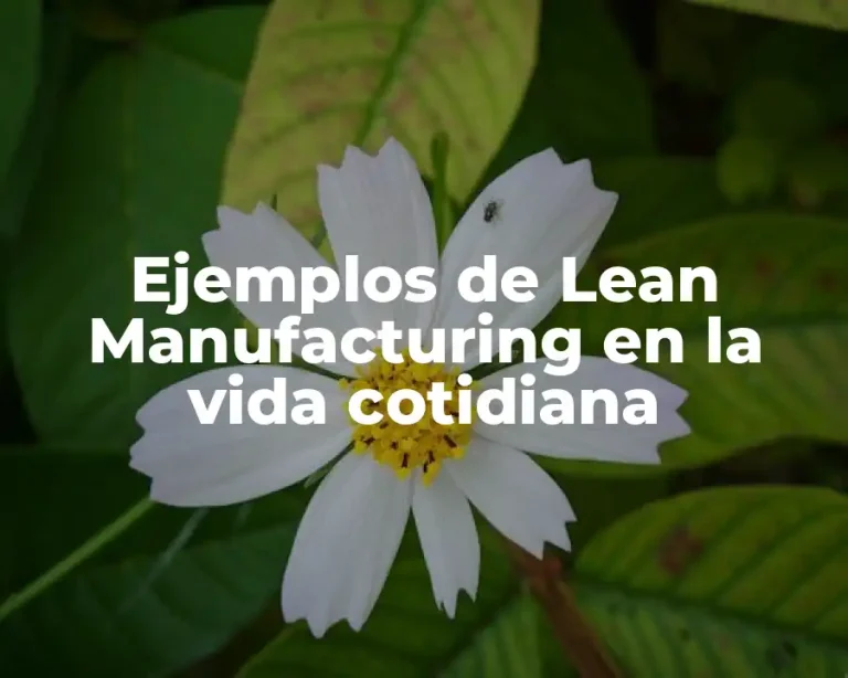 Ejemplos de Lean Manufacturing en la vida cotidiana