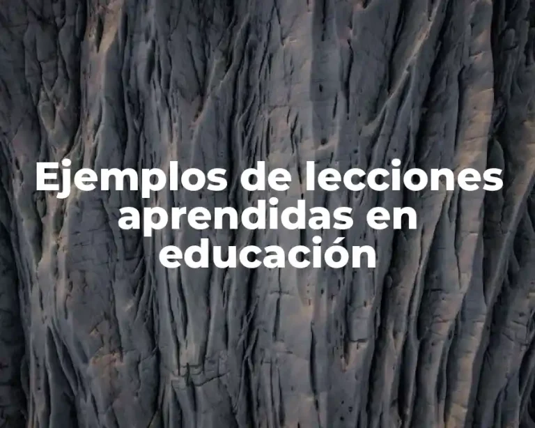 Ejemplos de lecciones aprendidas en educación