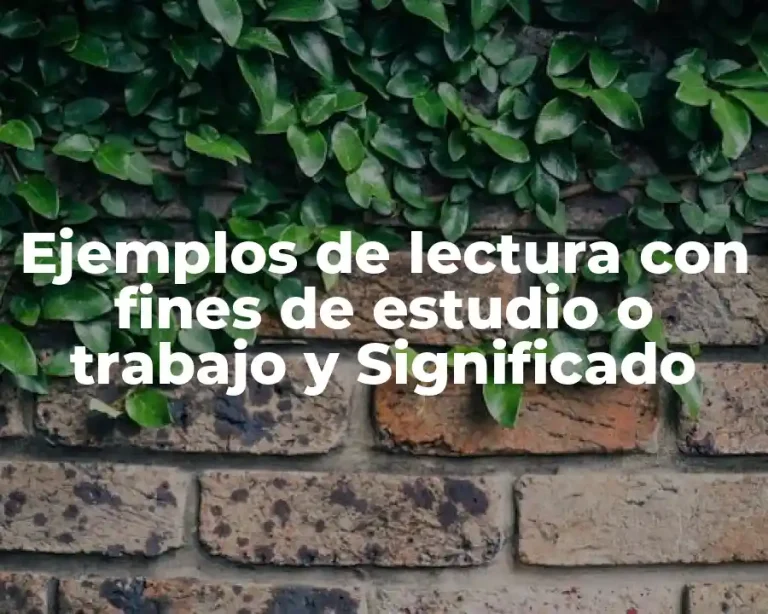 Ejemplos de lectura con fines de estudio o trabajo y Significado