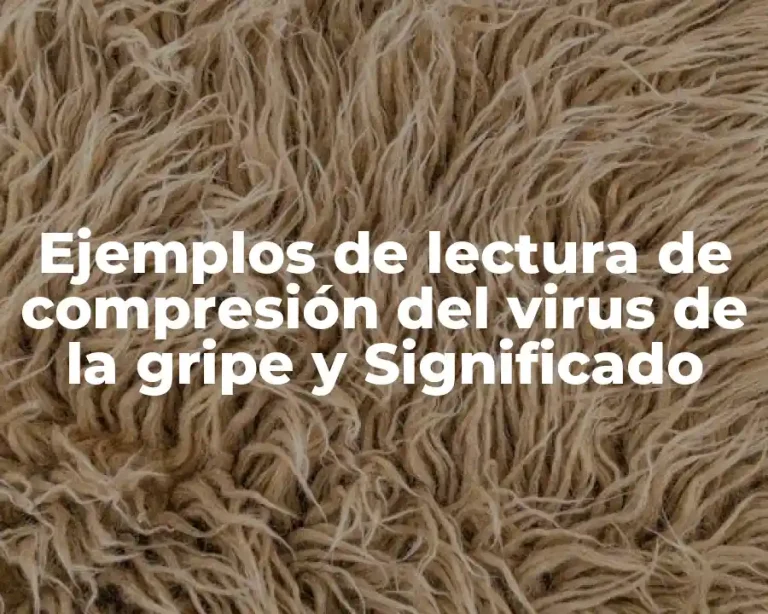 Ejemplos de lectura de compresión del virus de la gripe y Significado