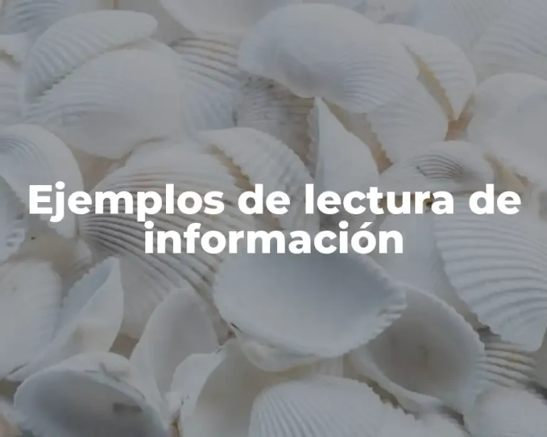 Ejemplos de lectura de información