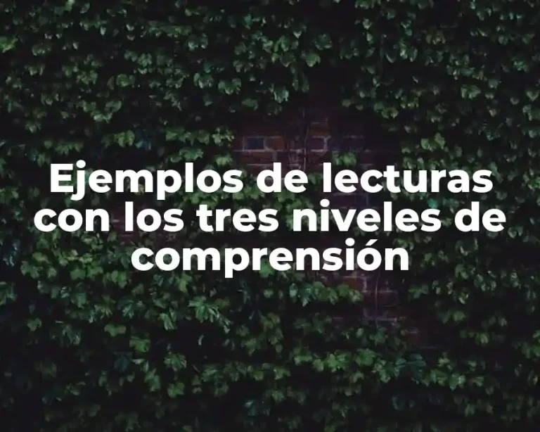 Ejemplos de lecturas con los tres niveles de comprensión