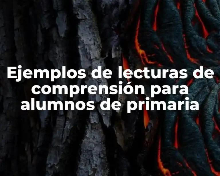 Ejemplos de lecturas de comprensión para alumnos de primaria
