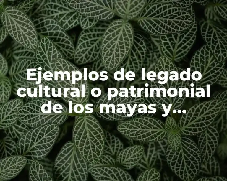 Ejemplos de legado cultural o patrimonial de los mayas y Significado