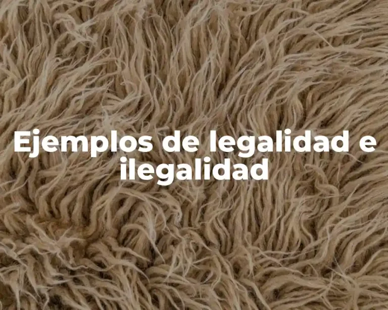Ejemplos de legalidad e ilegalidad