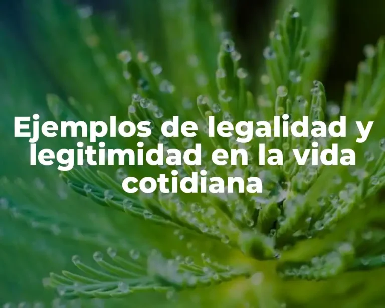 Ejemplos de legalidad y legitimidad en la vida cotidiana