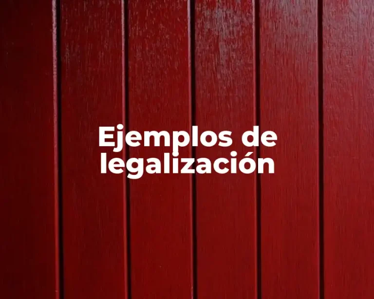 Ejemplos de legalización