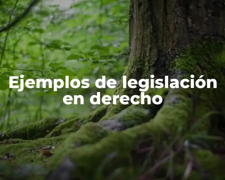 Ejemplos de legislación en derecho
