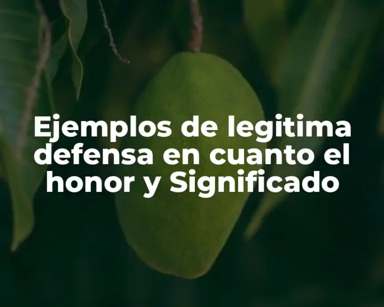 Ejemplos de legitima defensa en cuanto el honor y Significado