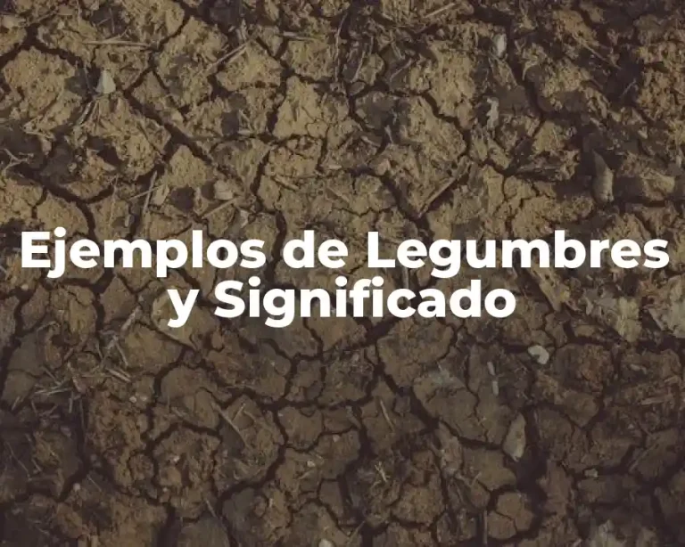 Ejemplos de Legumbres y Significado