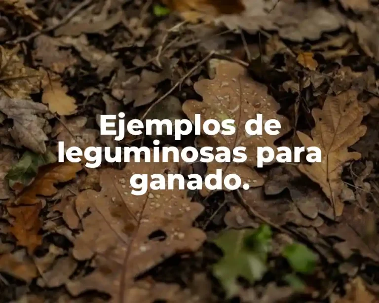 Ejemplos de leguminosas para ganado.