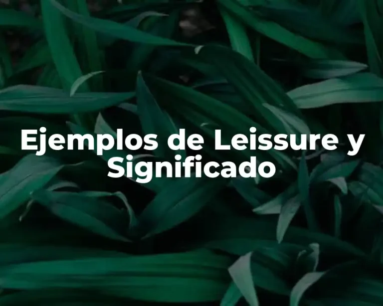 Ejemplos de Leissure y Significado