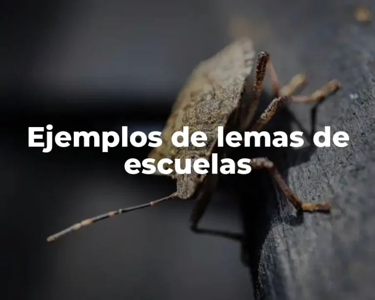 Ejemplos de lemas de escuelas