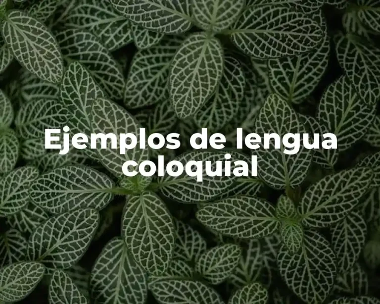 Ejemplos de lengua coloquial