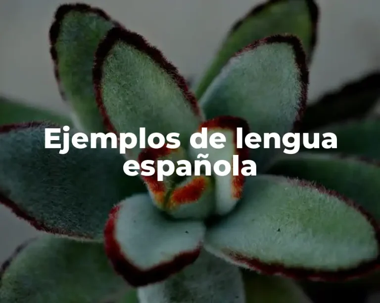 Ejemplos de lengua española