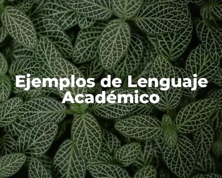 Ejemplos de Lenguaje Académico