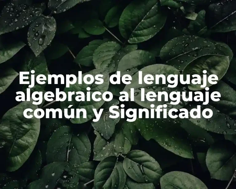 Ejemplos de lenguaje algebraico al lenguaje común y Significado